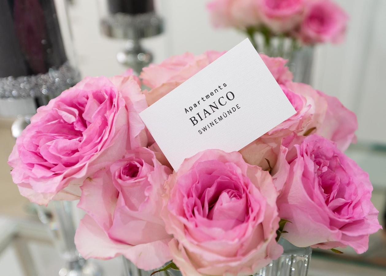 Bianco Apartments ชวีโนวิชแจ ภายนอก รูปภาพ